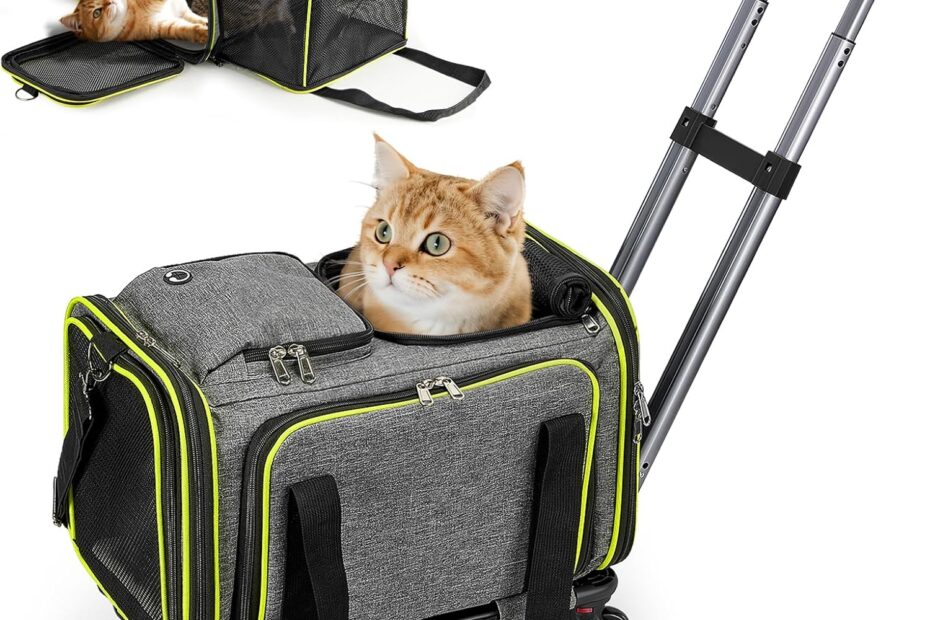 Travel in Comfort: Review of the Expandable Rolling Cat Carrier!