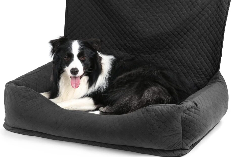 Travel With Confidence: Review of the Ultimate Dog Car Seat for Medium and Large Dogs