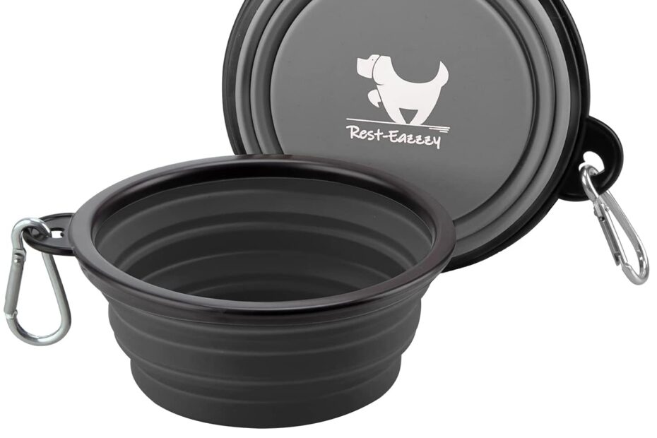 Travel-Friendly Collapsible Dog Bowls: Essential Gear for Pet Adventurers!
