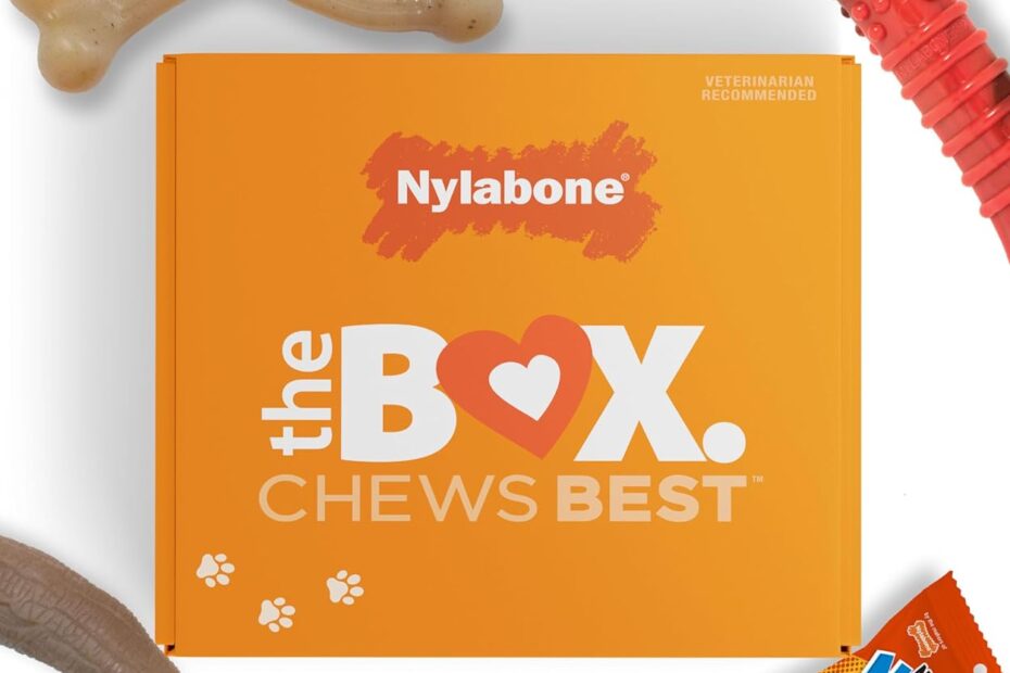 Ultimate Chew Delight: Nylabone Dog Gift Box Review