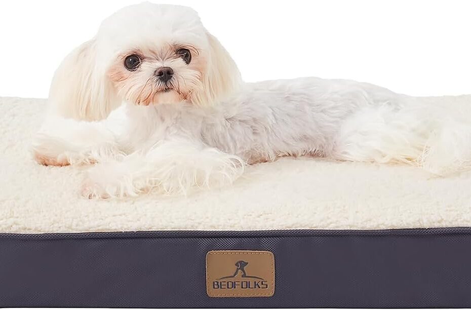 Ultimate Comfort: Bedfolks Orthopedic Dog Bed Review for Small Breeds