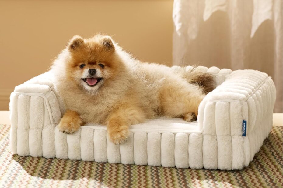 Ultimate Comfort: Bedsure Orthopedic Dog Bed Review