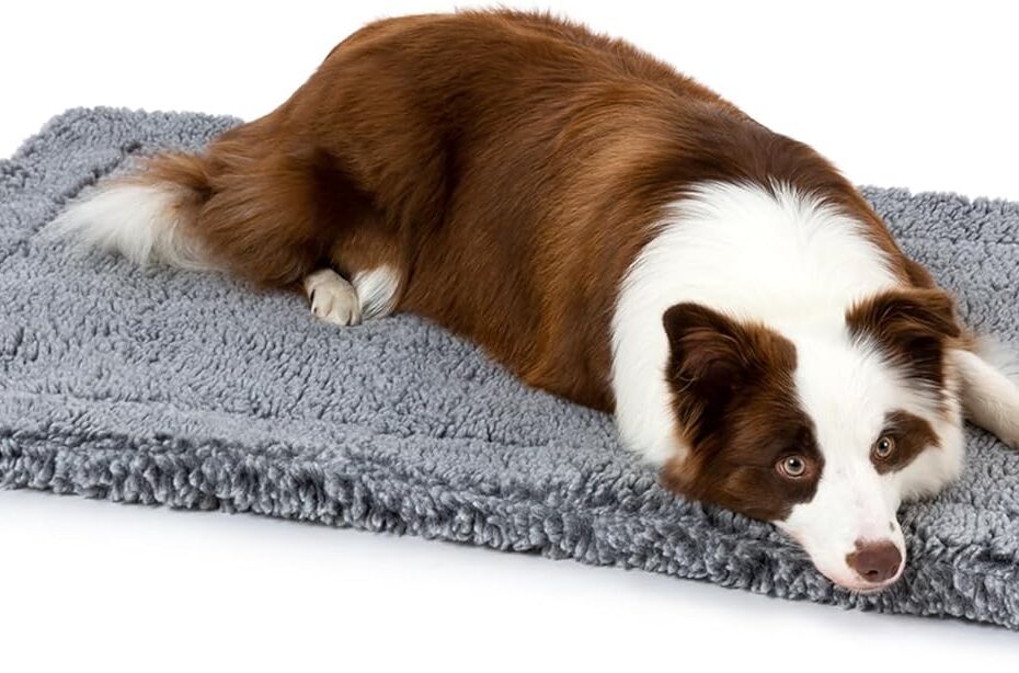 Ultimate Comfort & Durability: The Stoutwool Indestructible Dog Bed Review