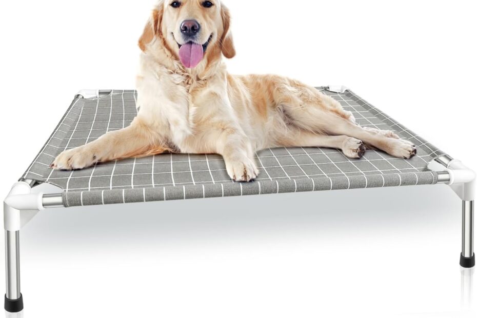 Ultimate Comfort for Your Furry Friend: Review of the Elevated Dog Bed Cot