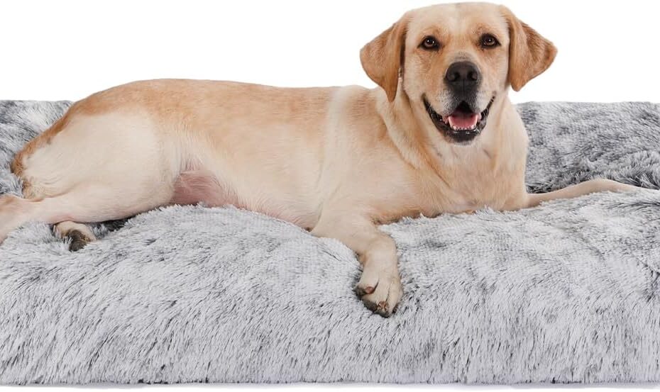 Ultimate Comfort for Your Pup: Bedfolks Waterproof Dog Crate Bed Review