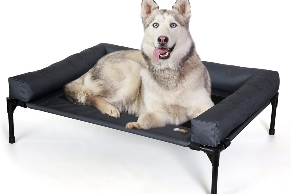 Ultimate Comfort for Your Pup: K&H Elevated Cooling Dog Cot Review