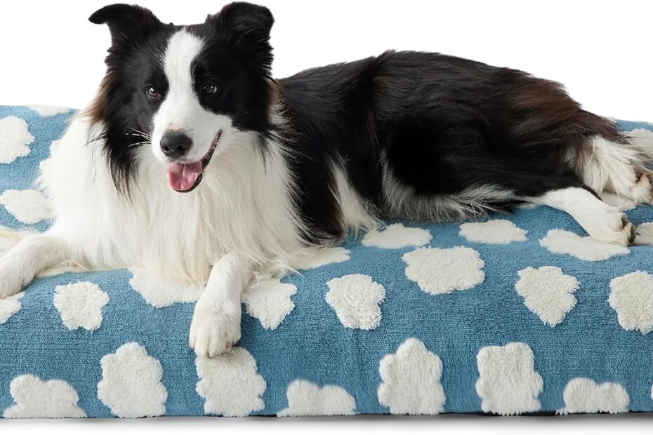 Ultimate Comfort for Your Pup: Lesure Large Dog Bed Review