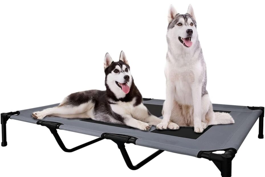 Ultimate Comfort for Your Pup: Review of the FIOCCO Elevated Dog Bed