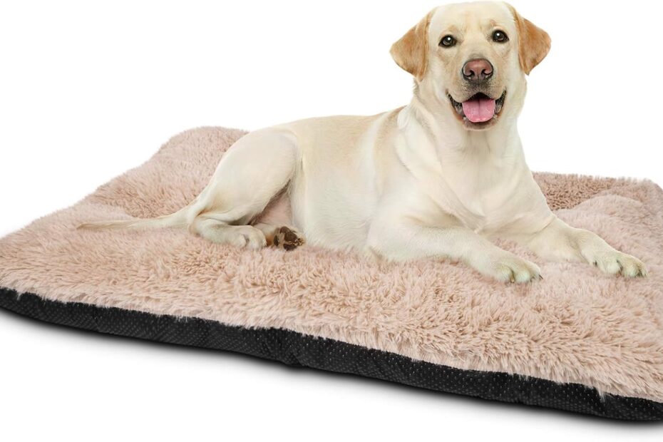 Ultimate Comfort for Your Pup: Review of the JOEJOY Large Dog Bed Crate Pad