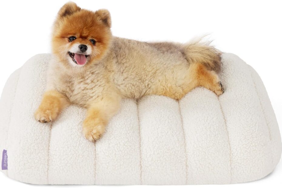 Ultimate Comfort for Your Pup: Review of the Lesure Cute Orthopedic Dog Bed
