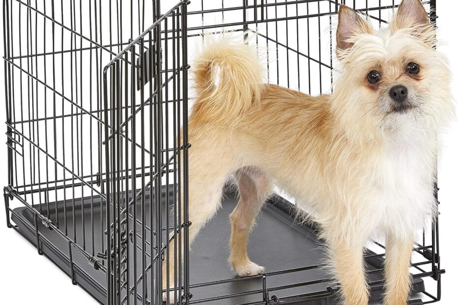 Ultimate Comfort for Your Pup: Review of the MidWest Homes iCrate Dog Crate