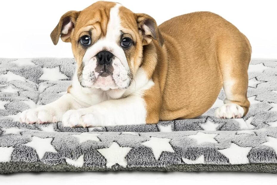 Ultimate Comfort for Your Pup: Review of the Reversible Dog Bed Mat