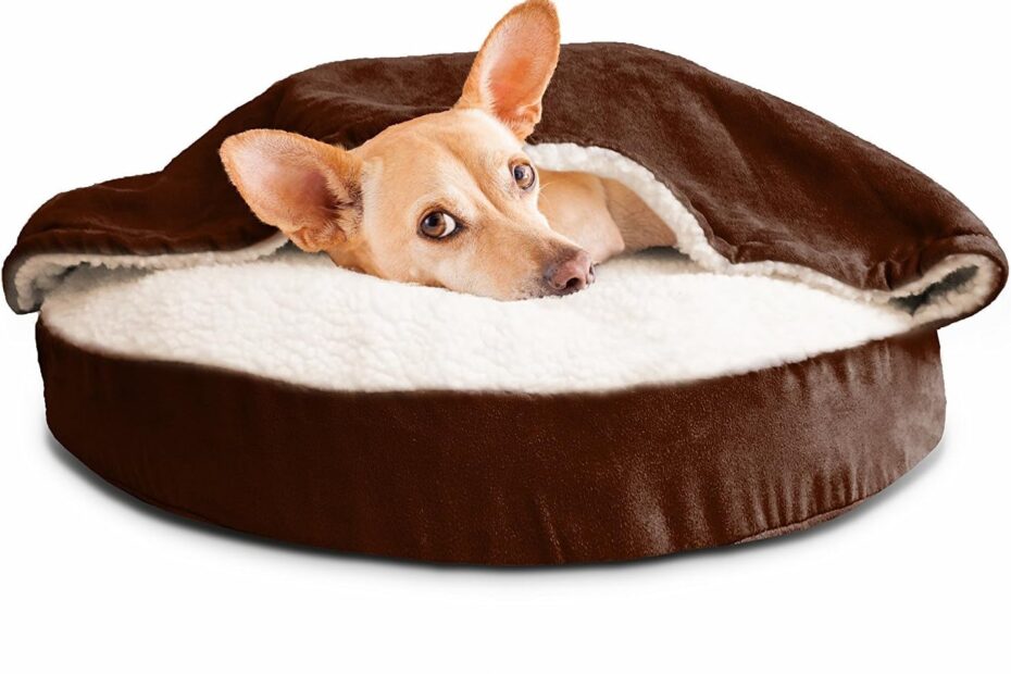 Ultimate Comfort: Furhaven 26" Round Orthopedic Dog Bed Review for Small Pups