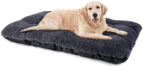 Ultimate Comfort: JOEJOY Plush Dog Bed Review for Happy Pets!