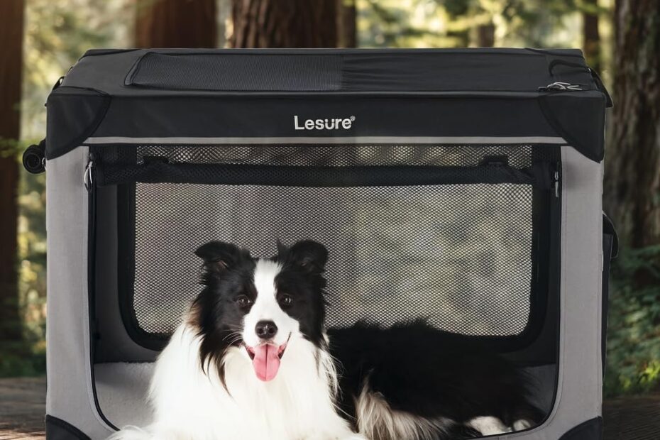 Ultimate Comfort: Lesure Soft Collapsible Dog Crate Review for Travel & Home!