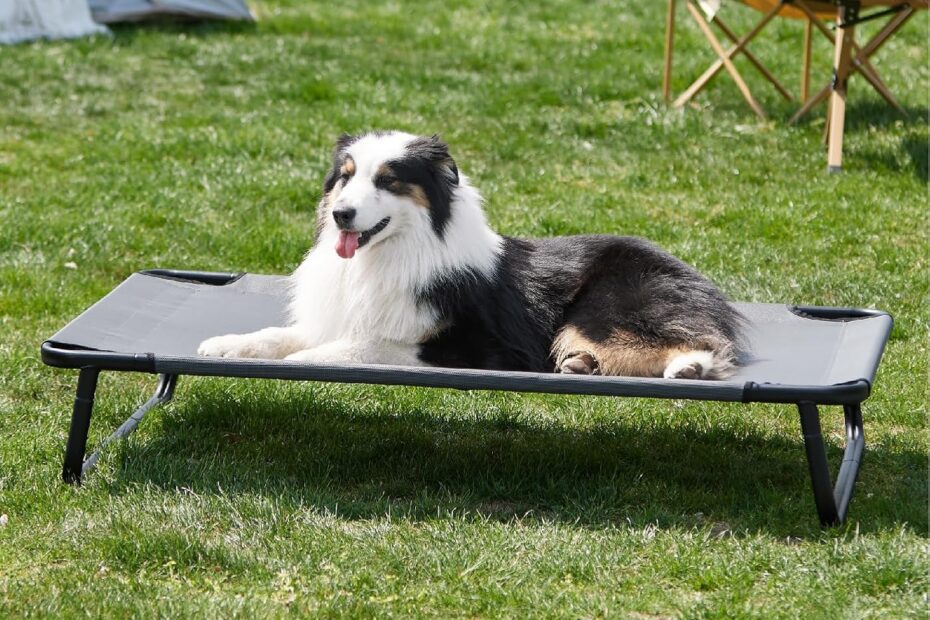 Ultimate Comfort: Made4Pets Elevated Dog Bed Review for Large Pups!