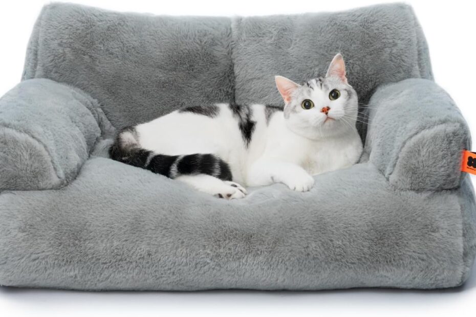 Ultimate Comfort: MEWOOFUN Cat Bed Review for Cozy Indoor Naps