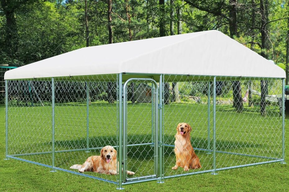 Ultimate Comfort: Review of the 10x10 FT Outdoor Dog Kennel for Your Furry Friends