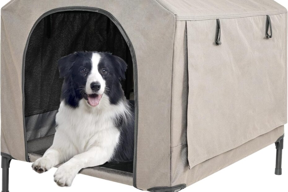 Ultimate Comfort: Review of the 2 in 1 Elevated Dog Bed & House for Medium Pets