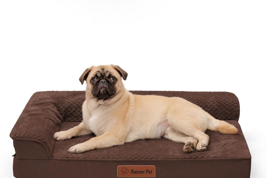 Ultimate Comfort: Review of the 3-Inch Memory Foam Orthopedic Dog Bed for Medium Dogs