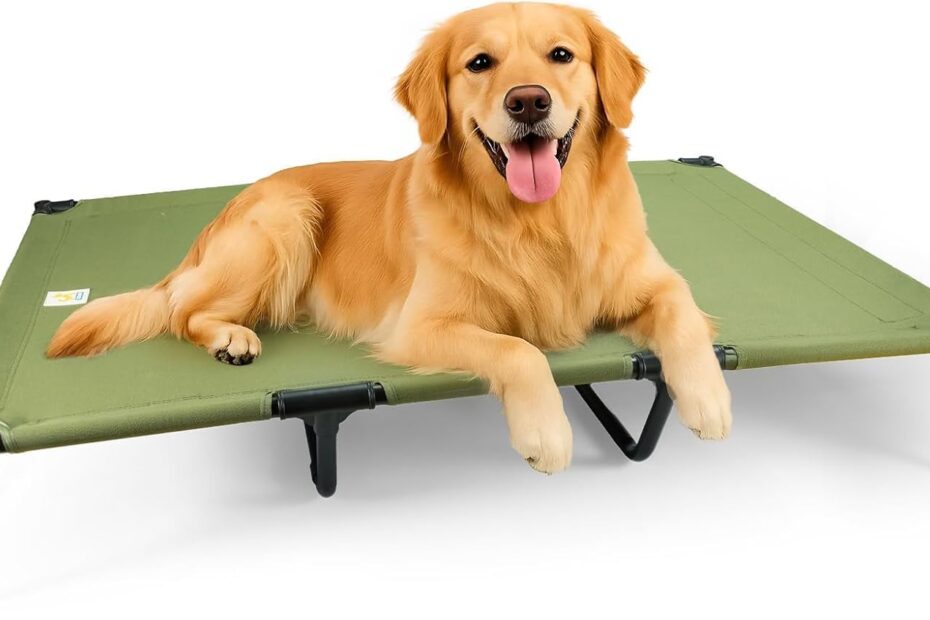 Ultimate Comfort: Review of the Durable Canvas Elevated Dog Bed for Large Pups!
