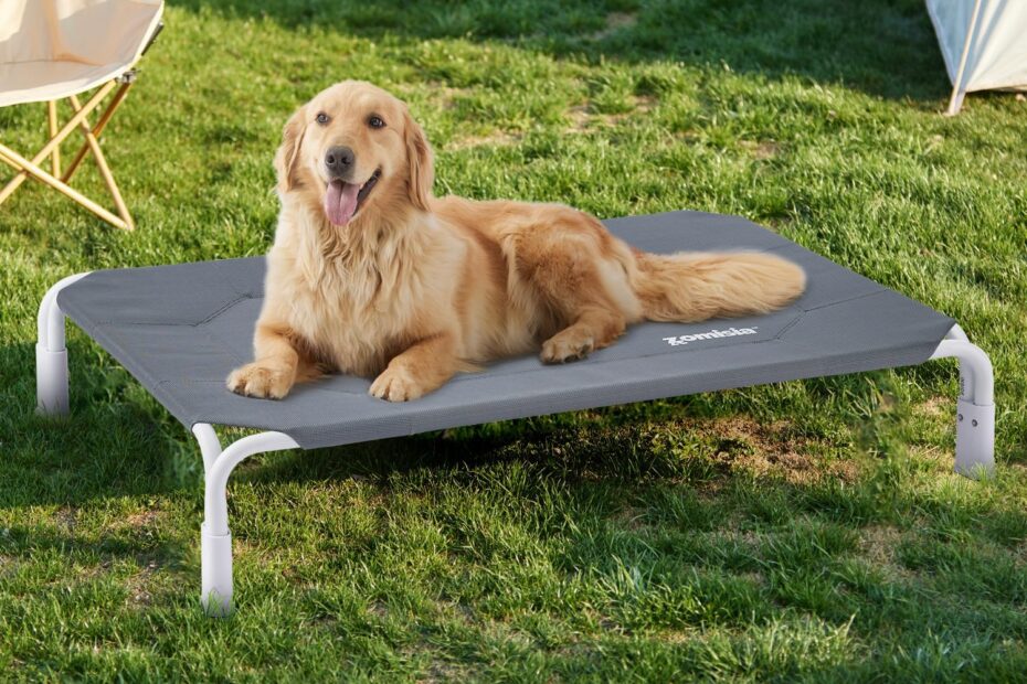 Ultimate Comfort: Review of the Elevated Outdoor Dog Cot Bed