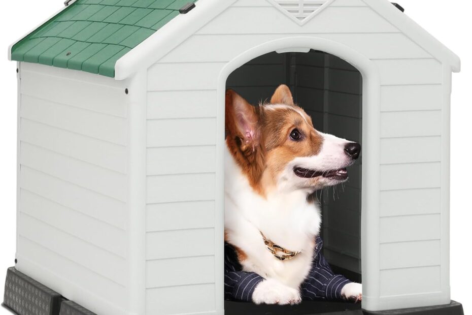 Ultimate Comfort: Review of the Insulated Plastic Dog House for Small Dogs
