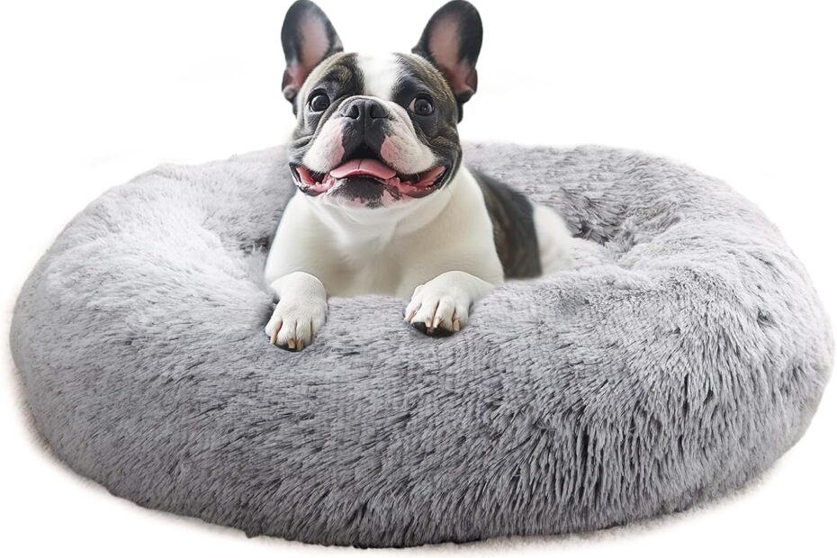 Ultimate Comfort: Review of the JOLLYVOGUE Calming Dog Bed for Your Furry Friend