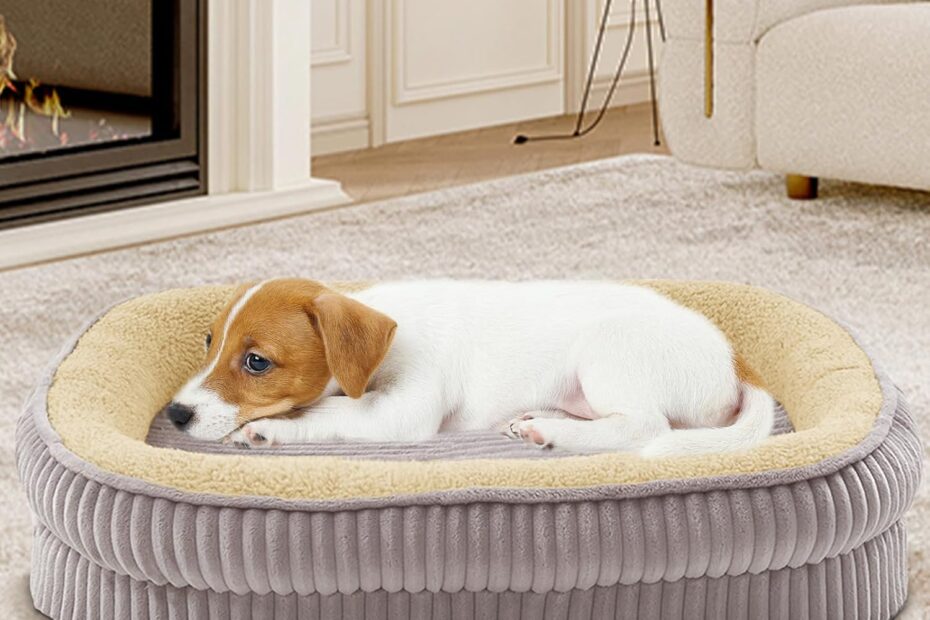 Ultimate Comfort: Review of the Orthopedic Dog Bed for Small Breeds