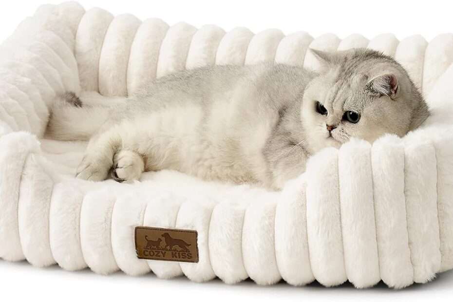 Ultimate Comfort: Review of the Orthopedic Dog Bed for Small & Medium Dogs