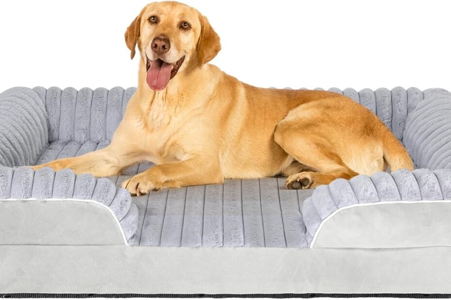 Ultimate Comfort: Review of the Orthopedic Memory Foam Dog Bed for All Sizes!