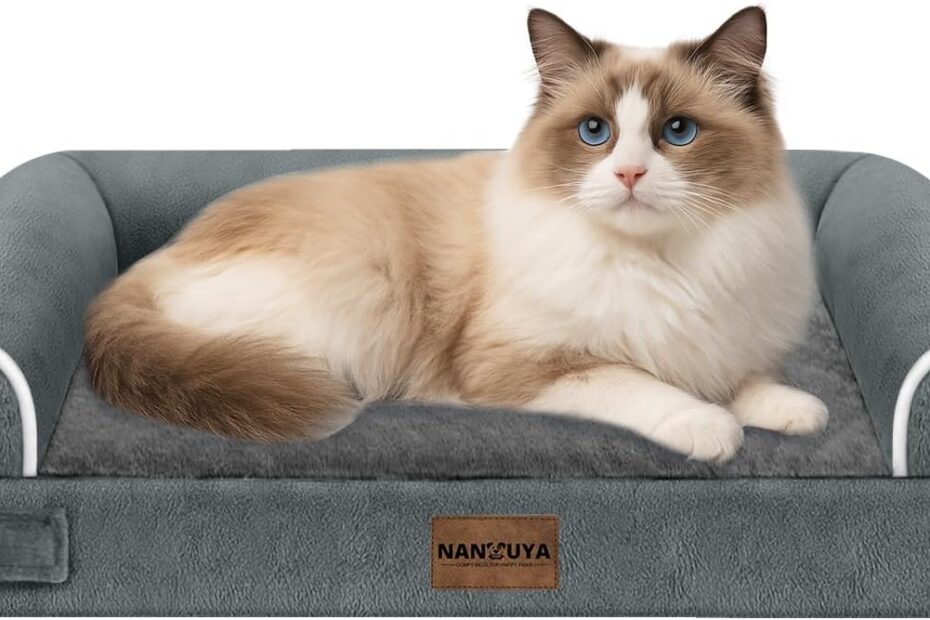 Ultimate Comfort: Review of the Orthopedic Small Dog Bed for Cozy Naps