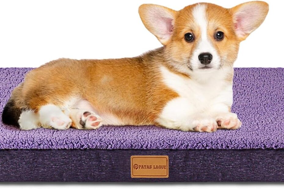 “Ultimate Comfort: Review of the Patas Lague Orthopedic Dog Bed for Small Dogs”