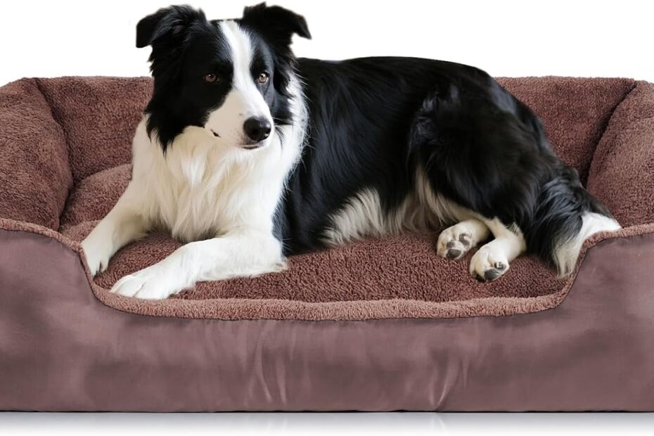 Ultimate Comfort: Review of the Self-Warming Dog Bed for Medium Pups