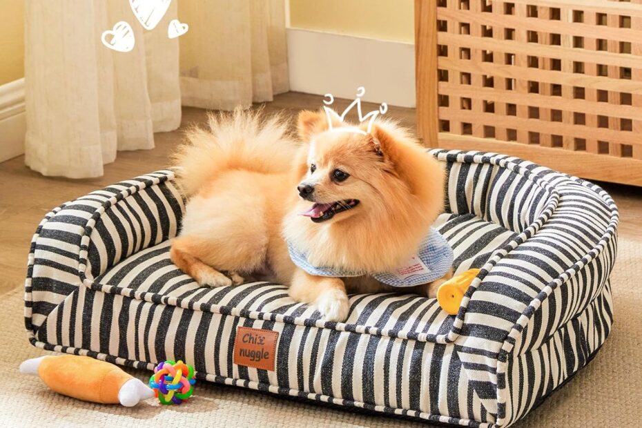 Ultimate Comfort: Review of the Washable Canvas Dog Bed for Your Beloved Pup