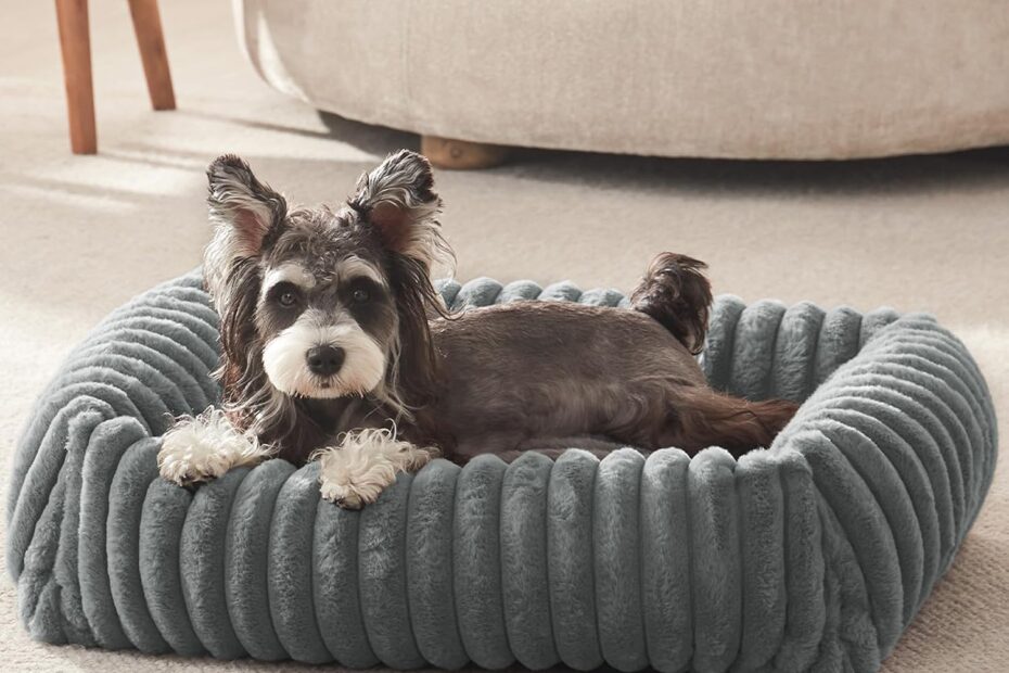 Ultimate Comfort: Review of the Washable Orthopedic Dog Bed for Small Dogs