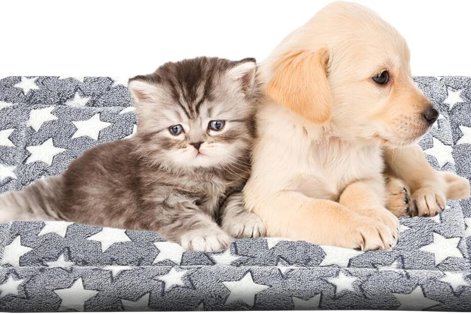 Ultimate Comfort: Review of the Washable Plush Orthopedic Dog Bed