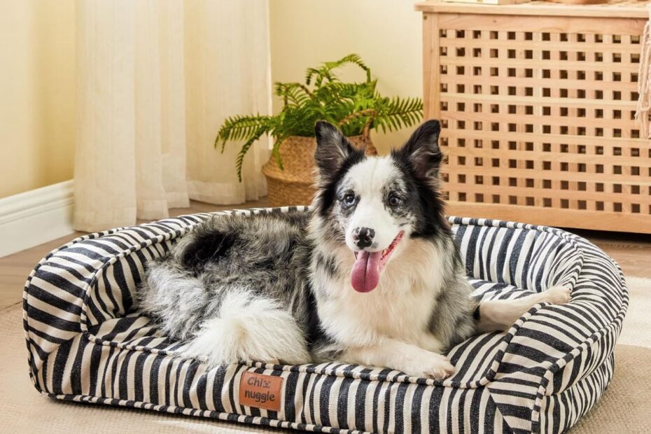 Ultimate Comfort: Review of the Waterproof Canvas Dog Bed for Large Breeds