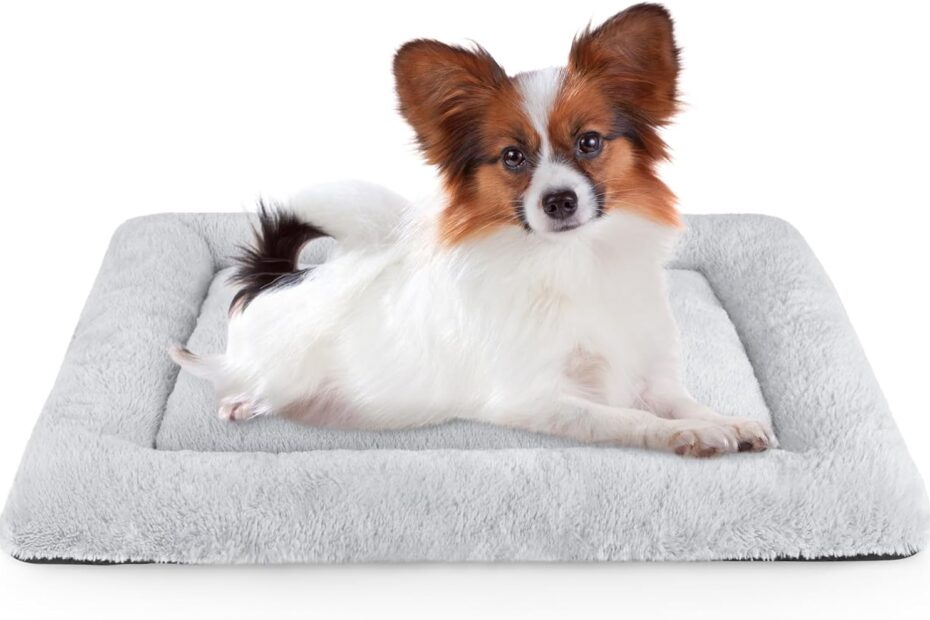 Ultimate Comfort: SIWA MARY Dog Bed Mat Review for Happy Pets