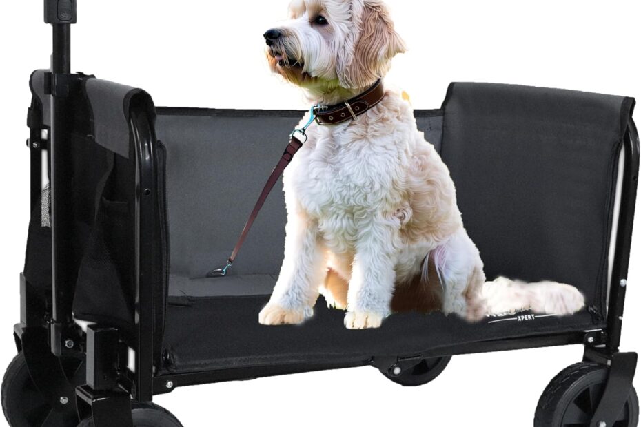 Ultimate Comfort: The 3-in-1 Dog Wagon Review you Can't Miss!