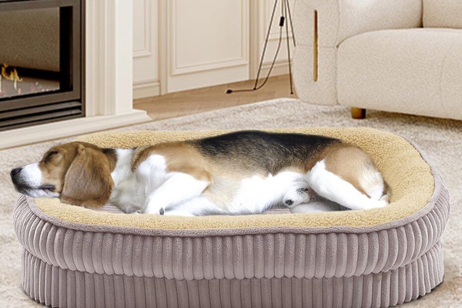 Ultimate Comfort: The Best Orthopedic Dog Bed for Medium Breeds