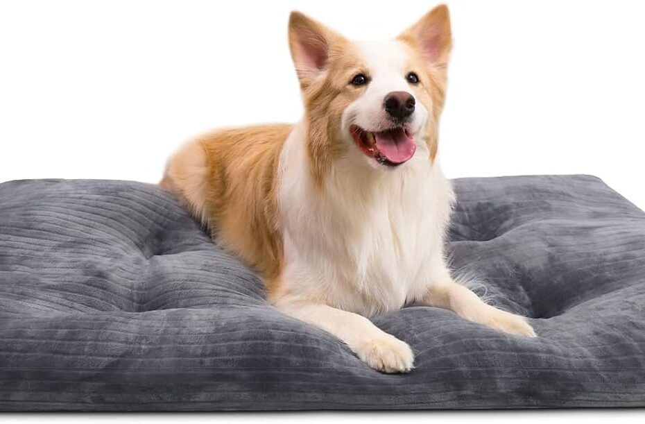 Ultimate Comfort: The Best Washable Dog Bed for Extra Large Dogs!