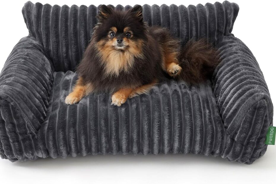 Ultimate Comfort: The Cute Couch Bed for Your Furry Friends!
