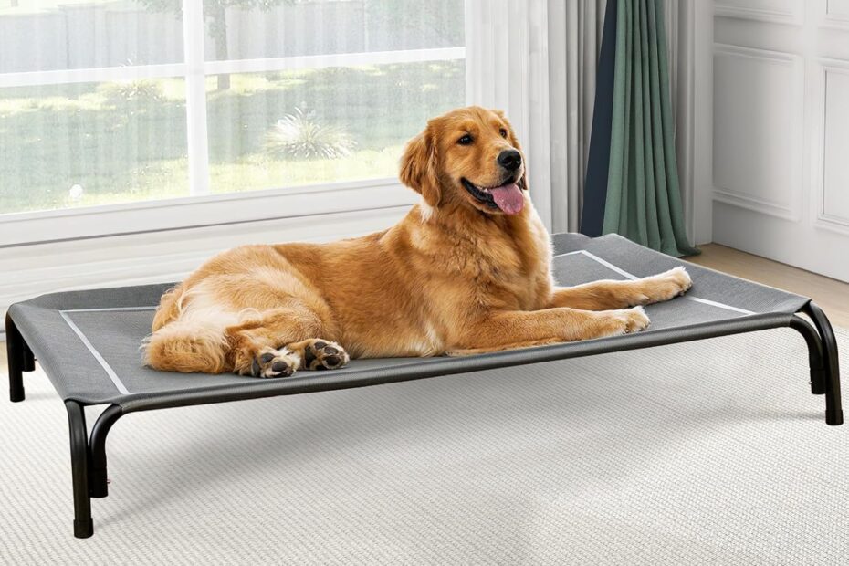 Ultimate Comfort: The Elevated Dog Bed for Happy Pups!