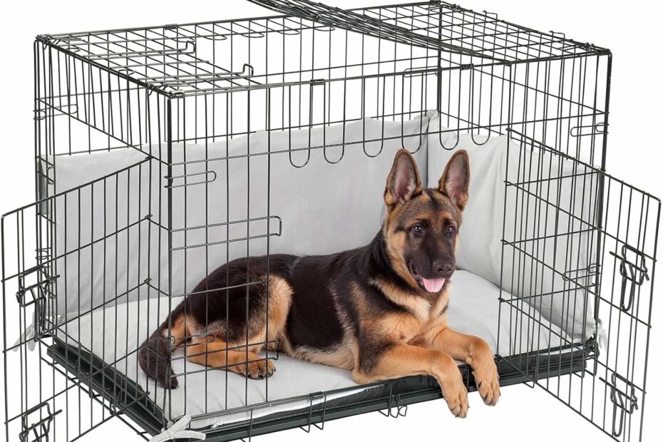 Ultimate Comfort: Veehoo 42" Folding Dog Crate Review for Large Breeds