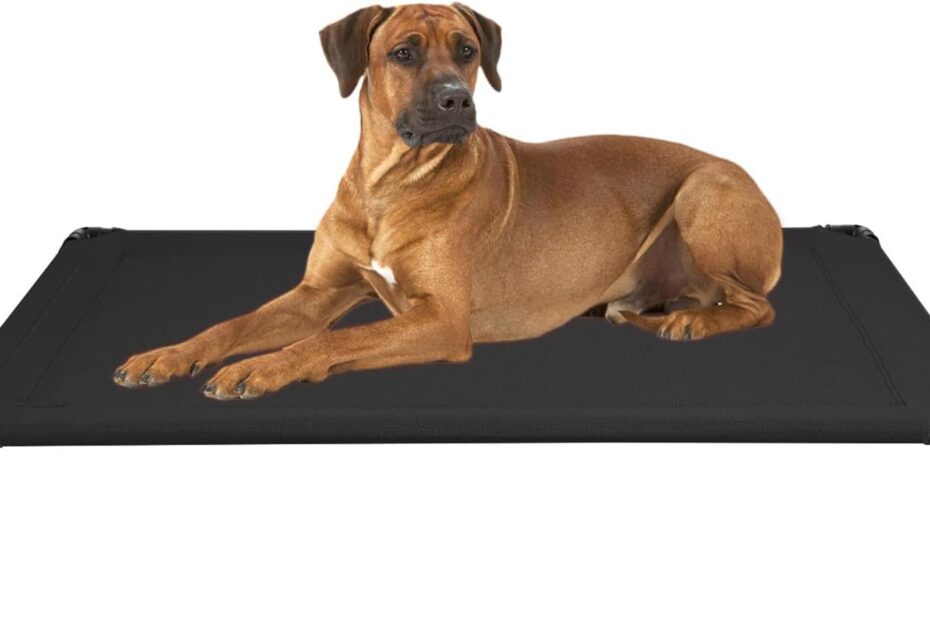 Ultimate Comfort: Veehoo Outdoor Elevated Dog Cot Review for Happy Pups!