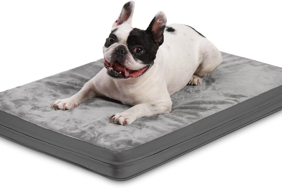 Ultimate Comfort: Waterproof Orthopedic Dog Bed Review