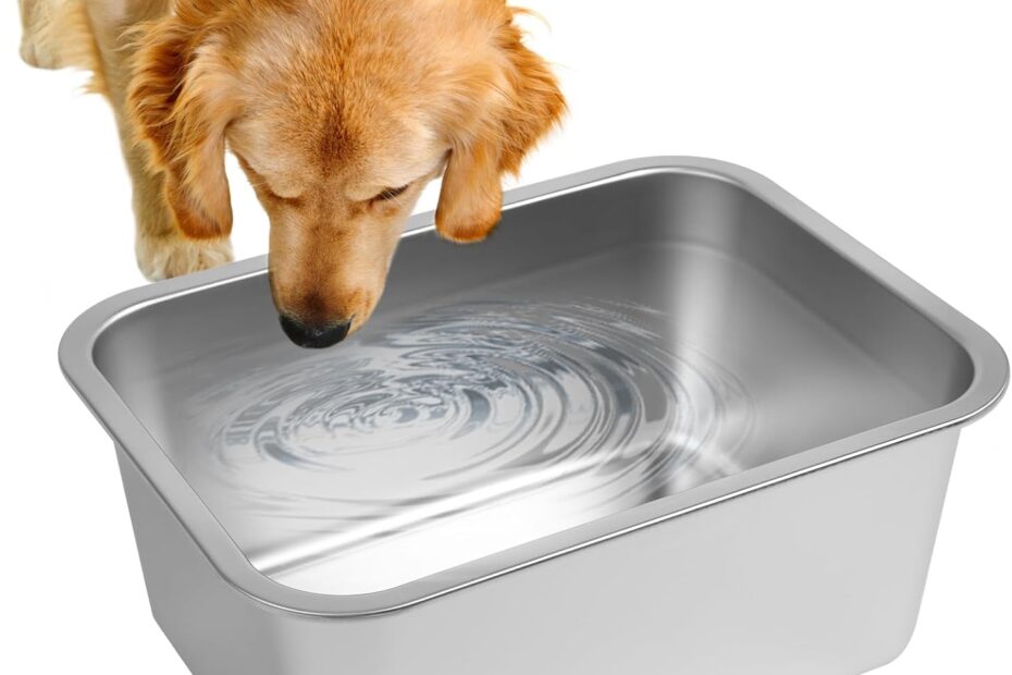 Ultimate Hydration: Review of the 3 Gallon Stainless Steel Dog Water Bowl