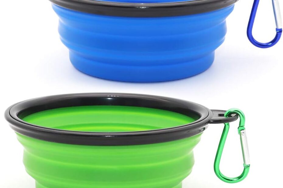 Ultimate Portable Feeding Solution: Review of Collapsible Dog Bowls!