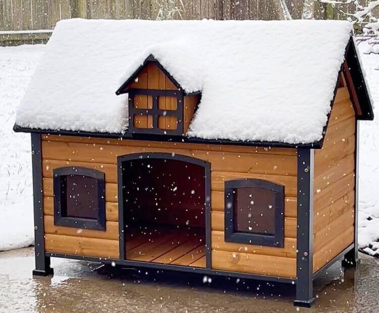 Ultimate Protection: Review of the GUTINNEEN Outdoor Dog House for All Breeds